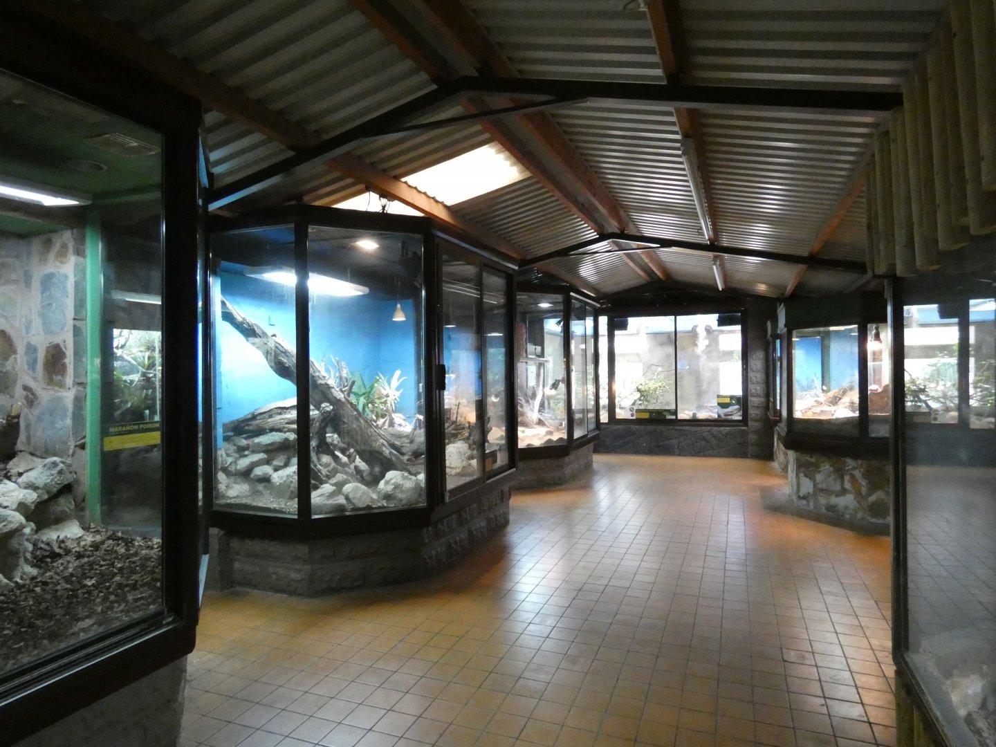 View in reptile house second room