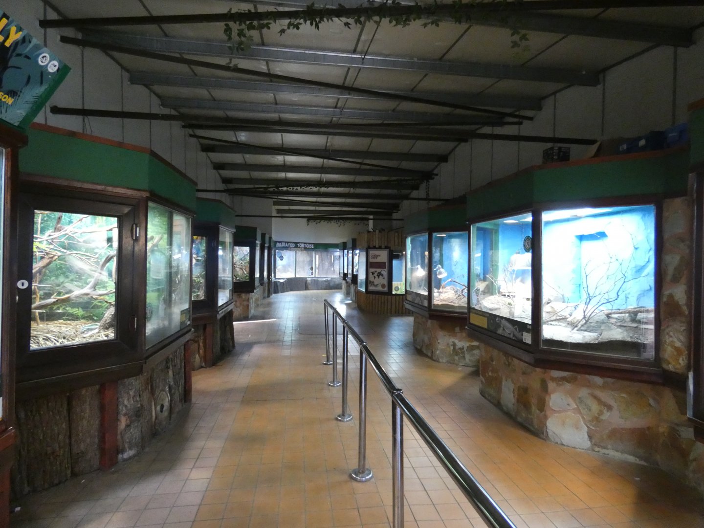 View in reptile house