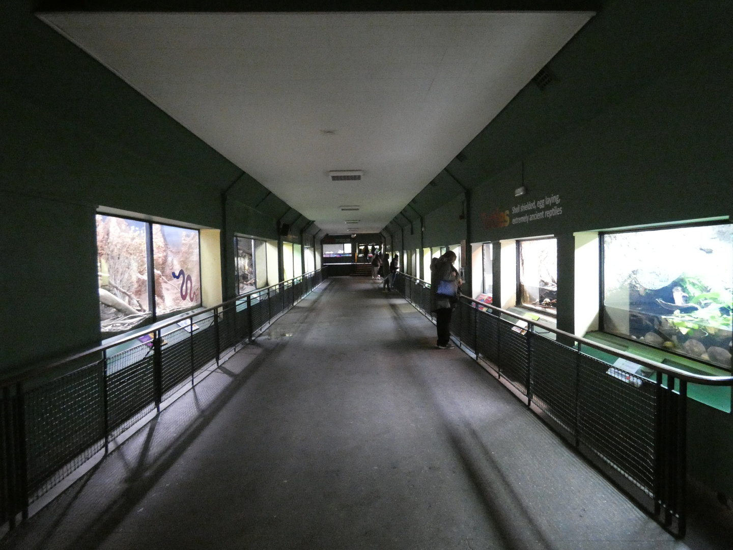 View in reptile house