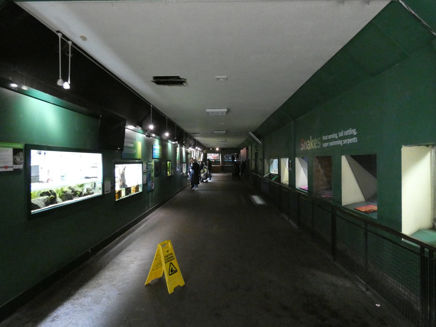 View in reptile house