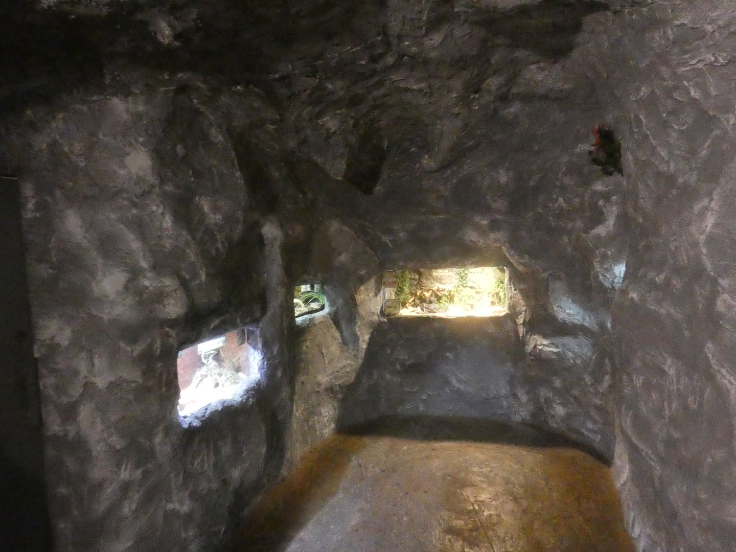 View in reptile house