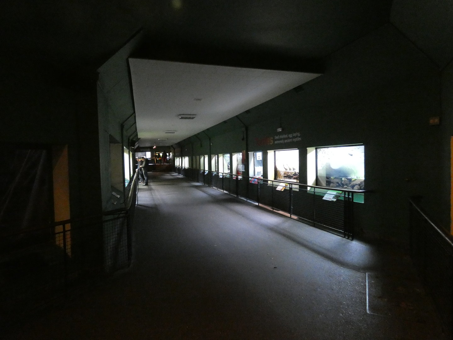 View in reptile house