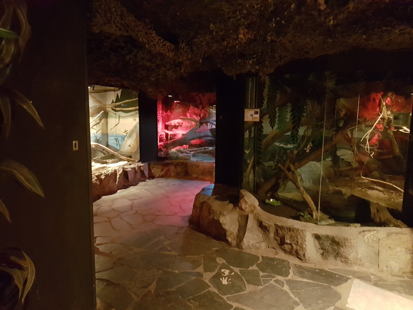 View in Reptilian-house