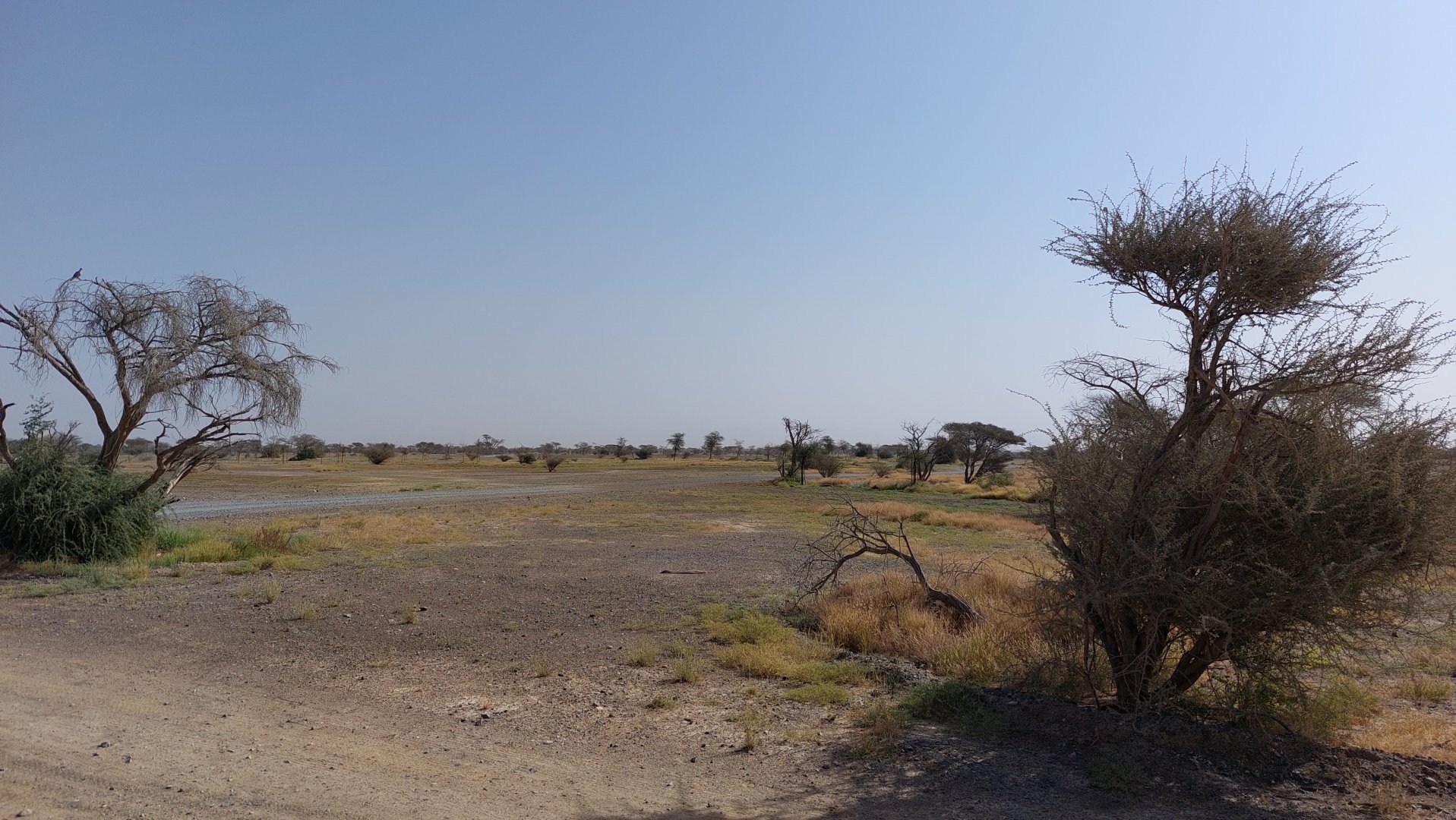 View in Sahel exhibit