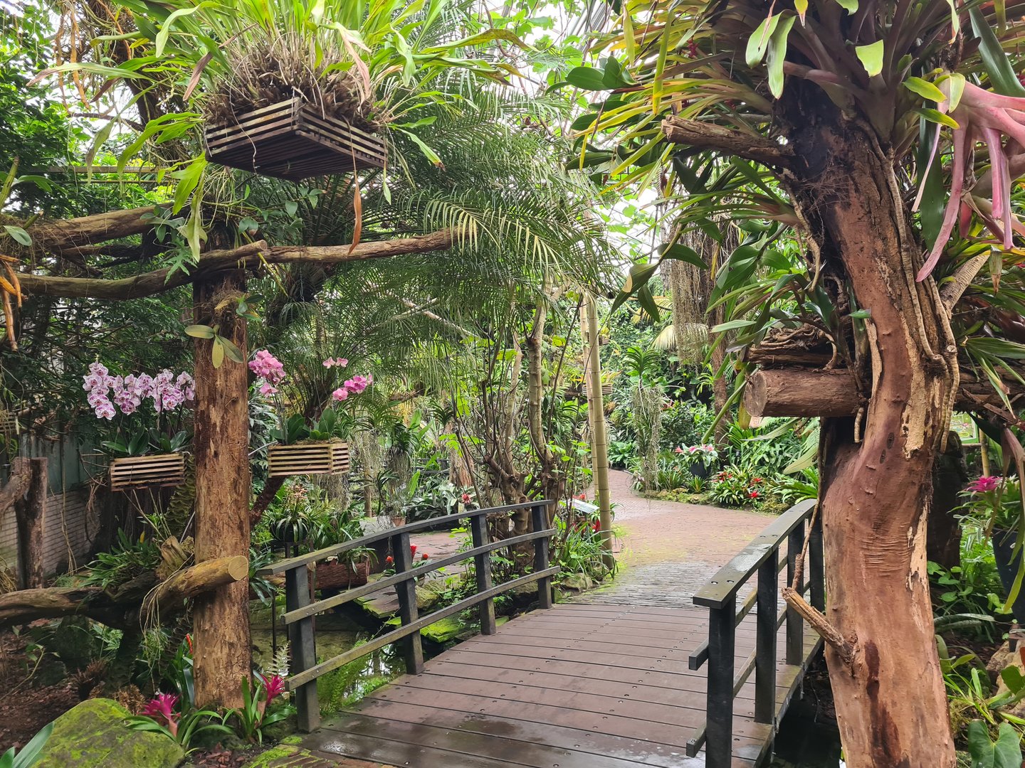 View in second hall (the Orchid garden)