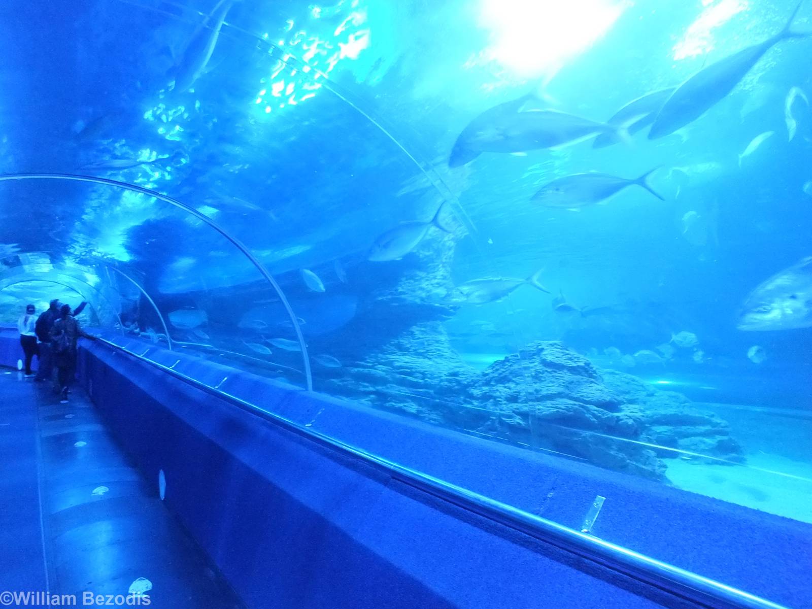 View in Shipwreck Coast Tunnel