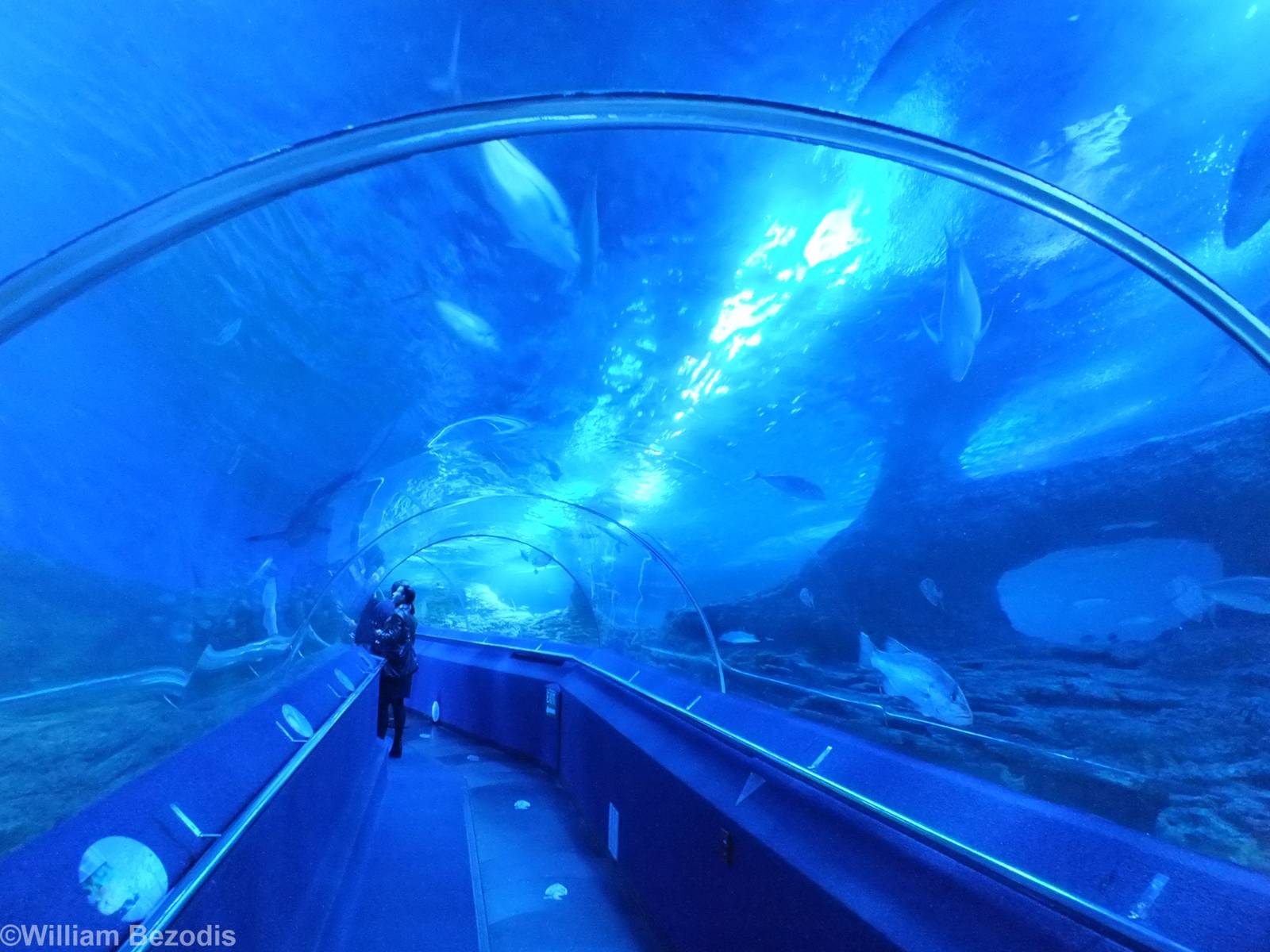 View in Shipwreck Coast Tunnel