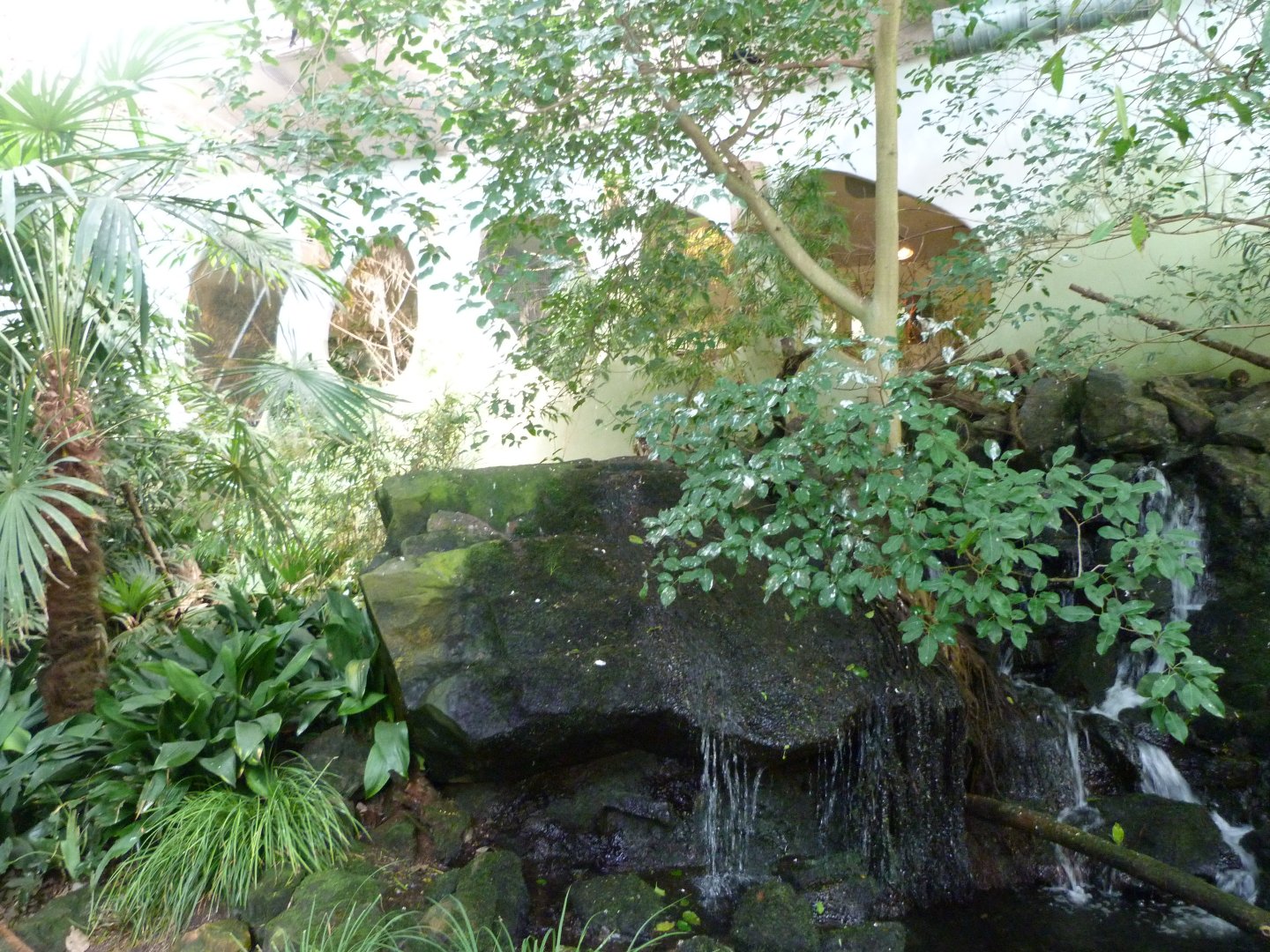 View in "Sichuan" -Zoo Praha (2025)