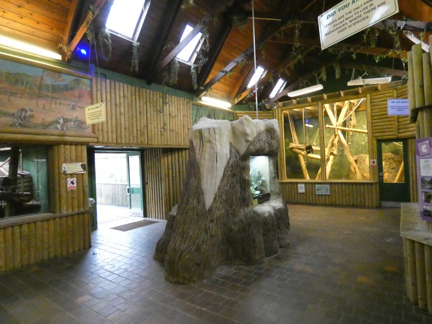 View in small monkey house