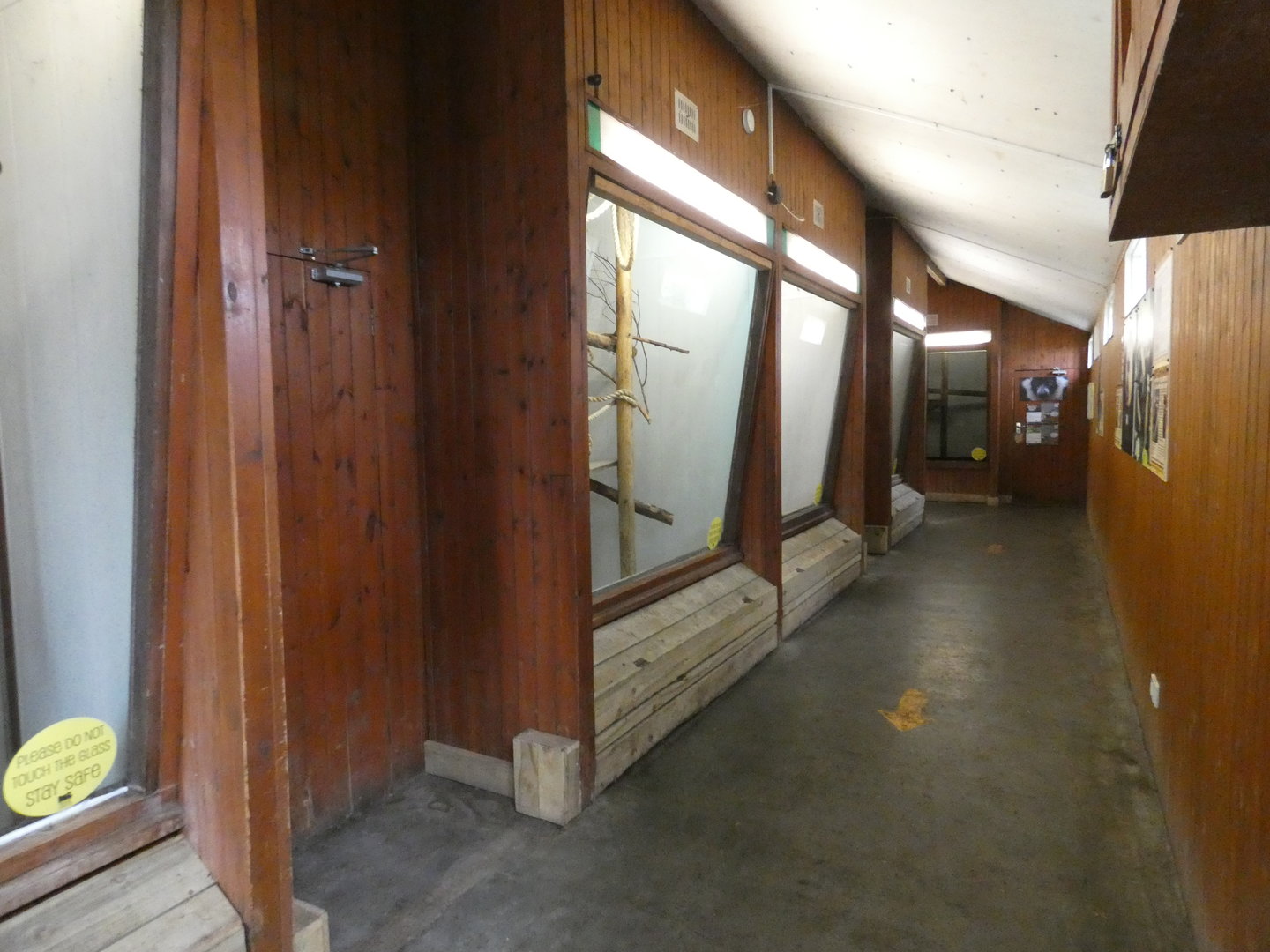 View in small monkey house