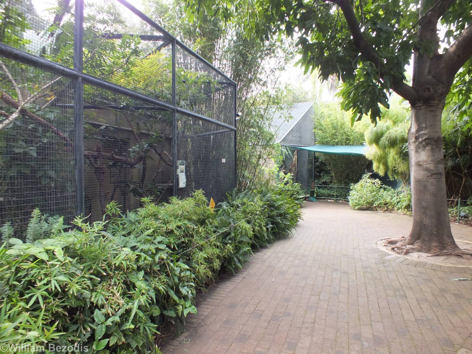 View in Small Primates Section