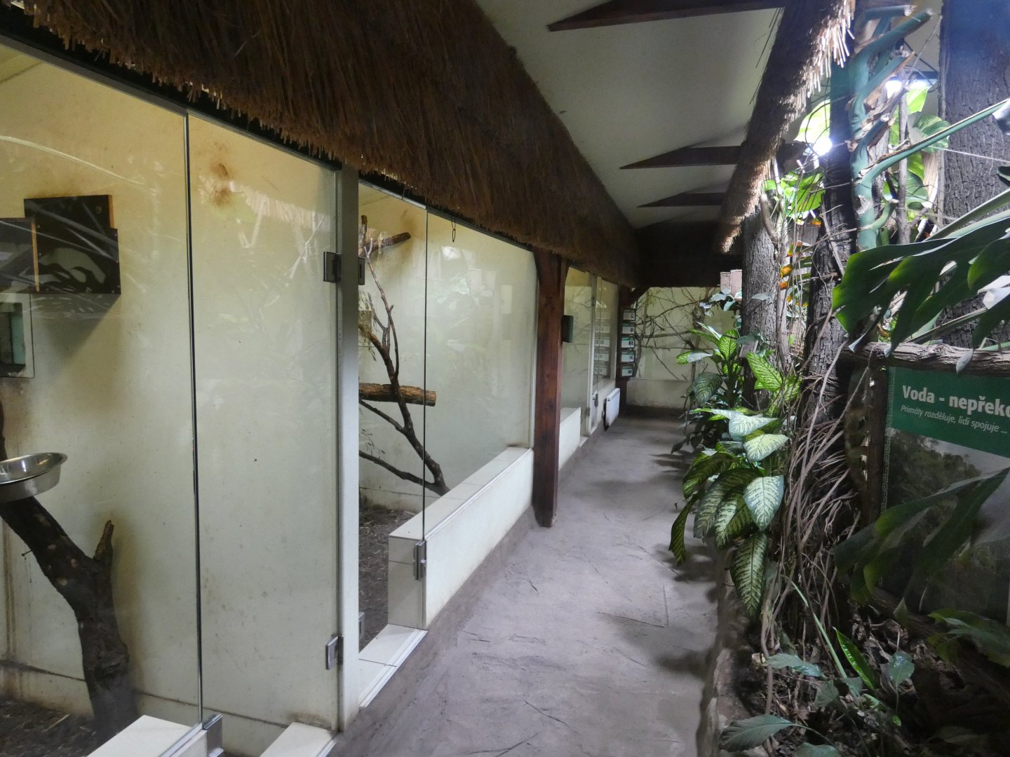 View in South American house