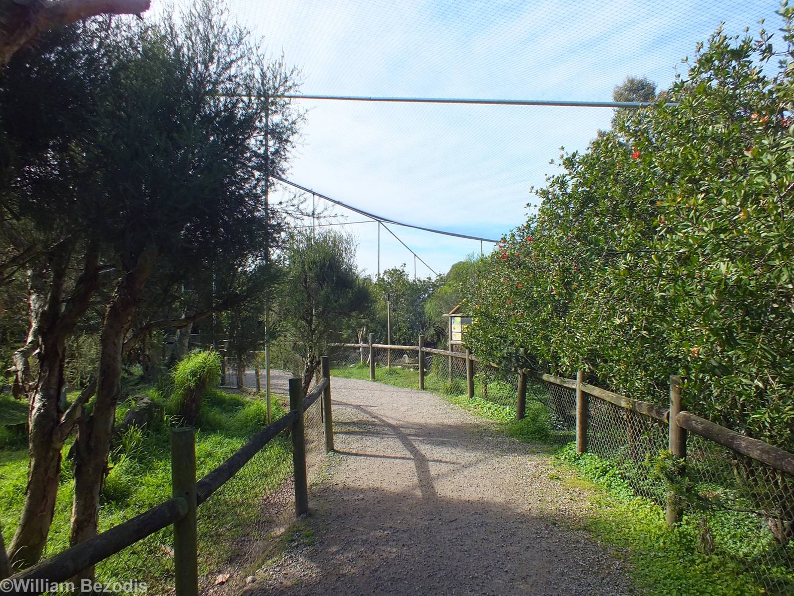 View in South-western Section Walkthrough Aviary - Caversham Wildlife Park