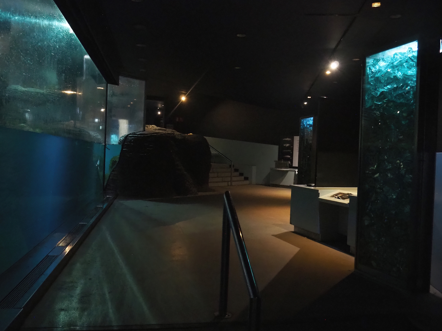 View in Subantarctic penguin house Vriesland, 2022-08-16