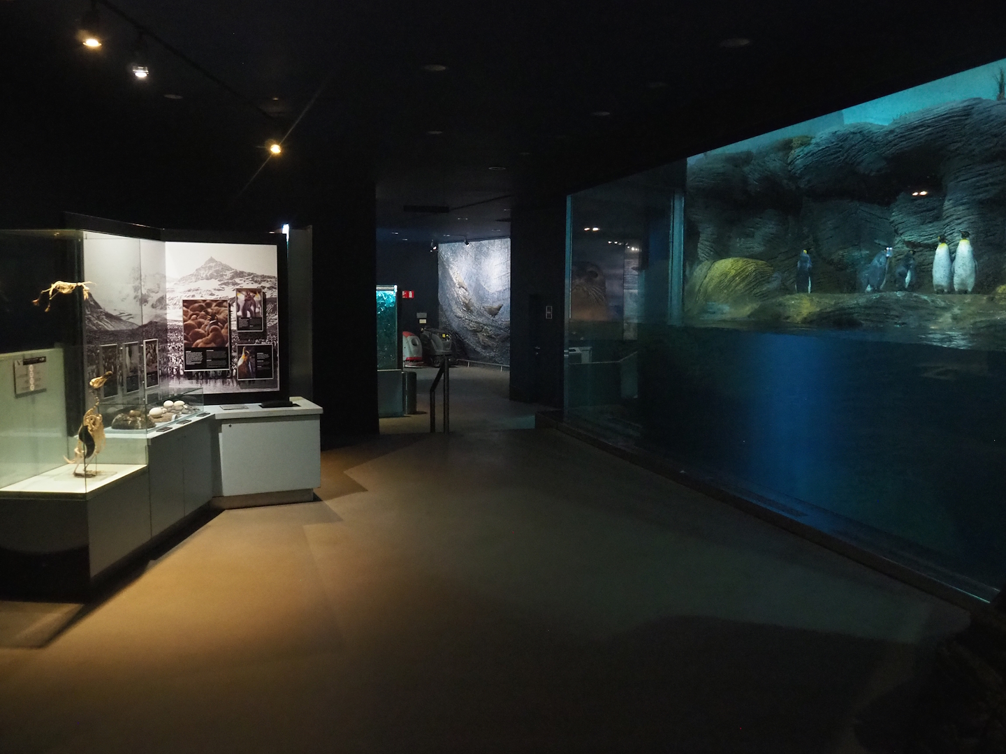 View in Subantarctic penguin house Vriesland, 2022-08-16