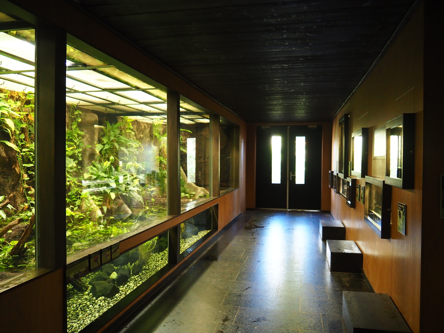 View in Tapir Terrarium House (Oct 13th, 2018)