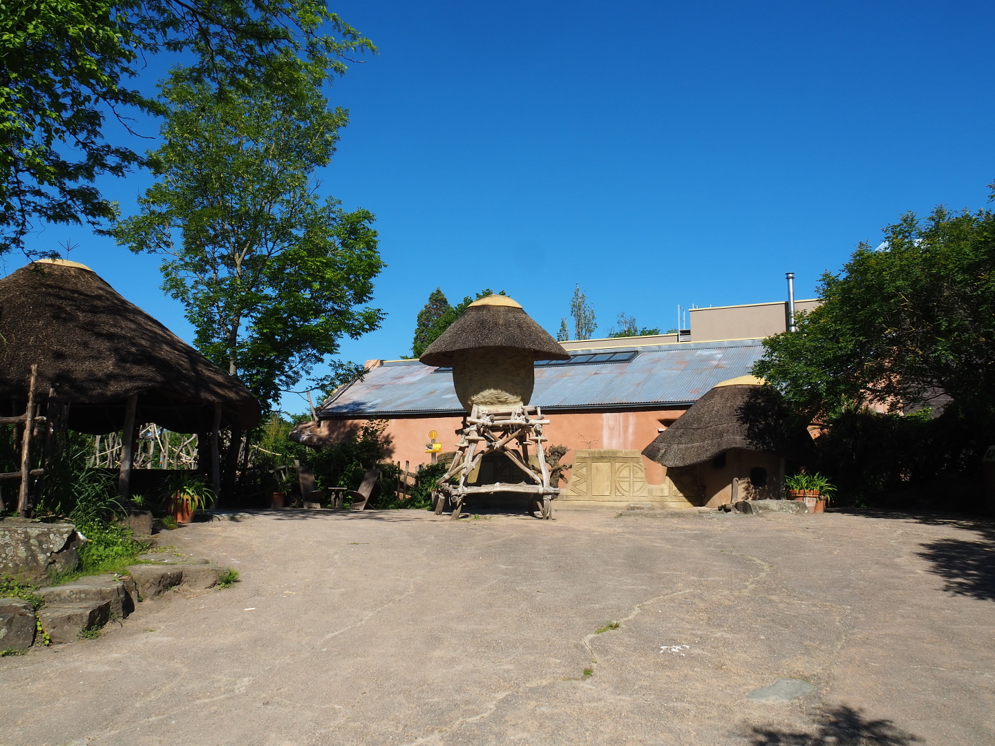 View in the African village with Bonobo building, Banded mongoose exhibit and Bonobo island viewing area, 2021-06-01