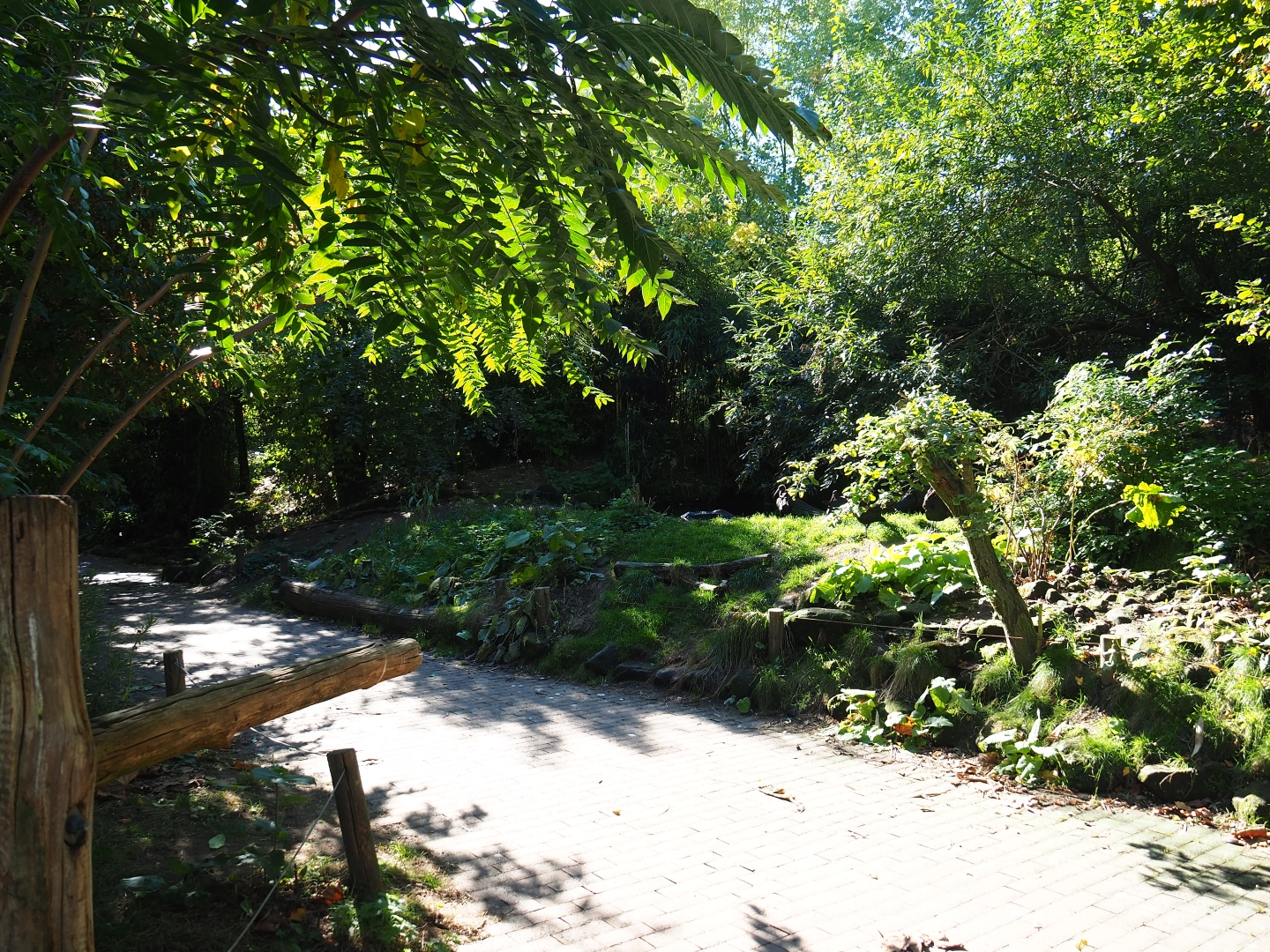 View in the Amazonia aviary (Oct 13th, 2018)