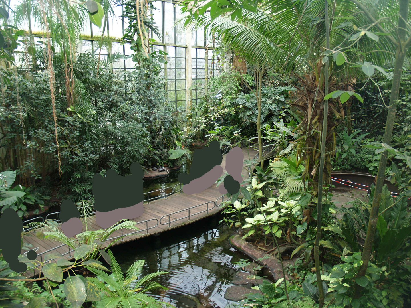 View in the Americasa, 2008-03-01