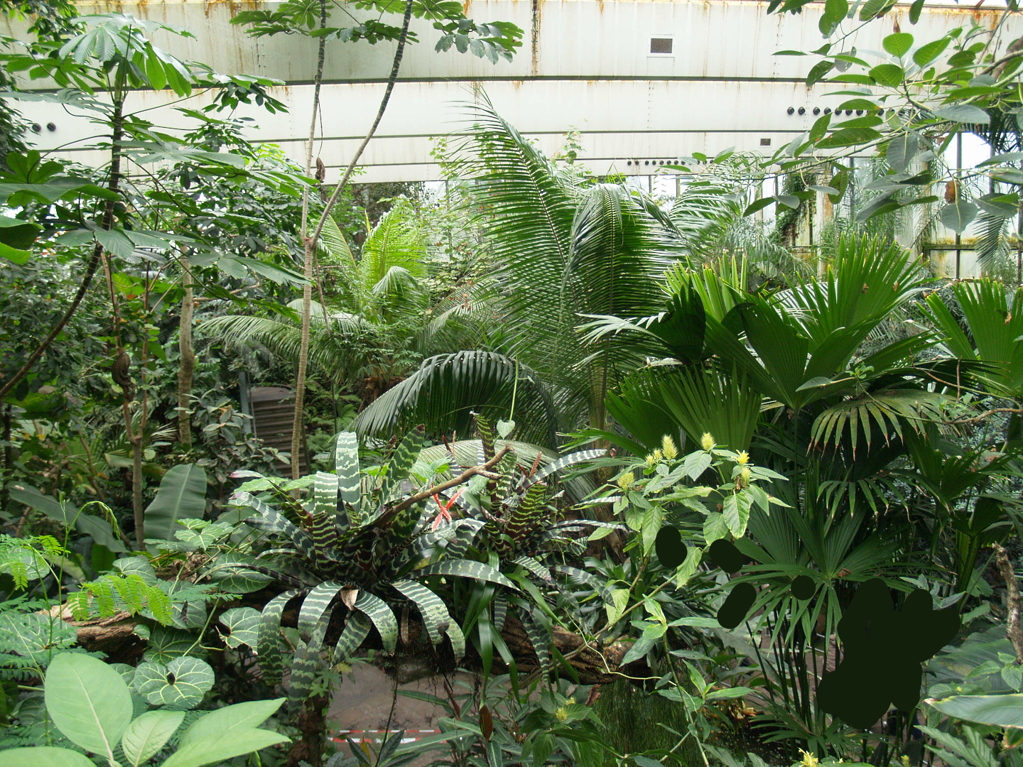 View in the Americasa, 2008-03-01