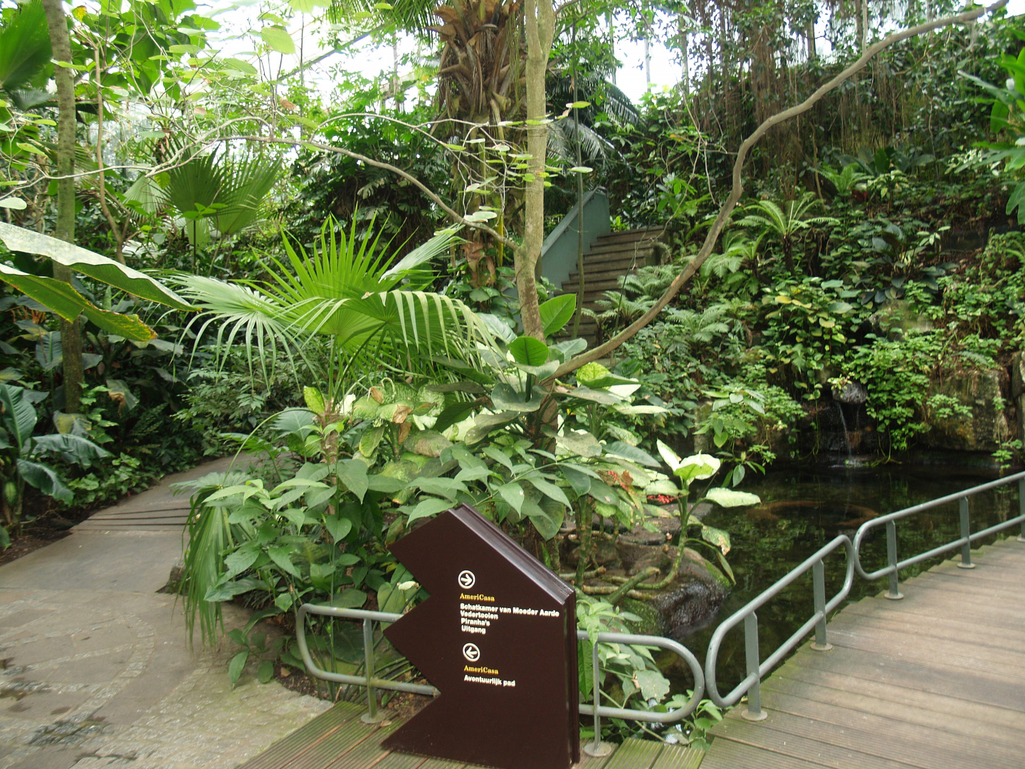 View in the Americasa, 2008-03-01