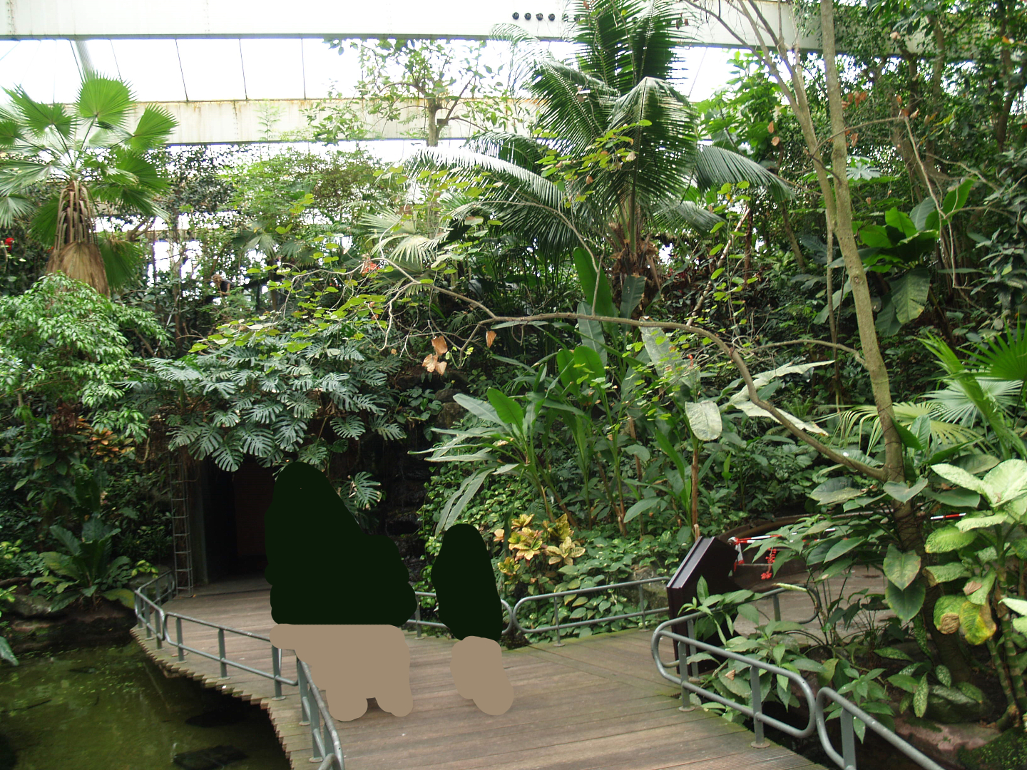 View in the Americasa, 2008-03-01