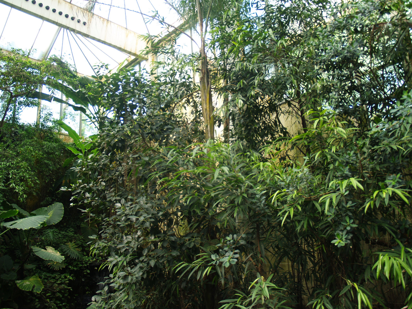 View in the Americasa, 2009-04-19