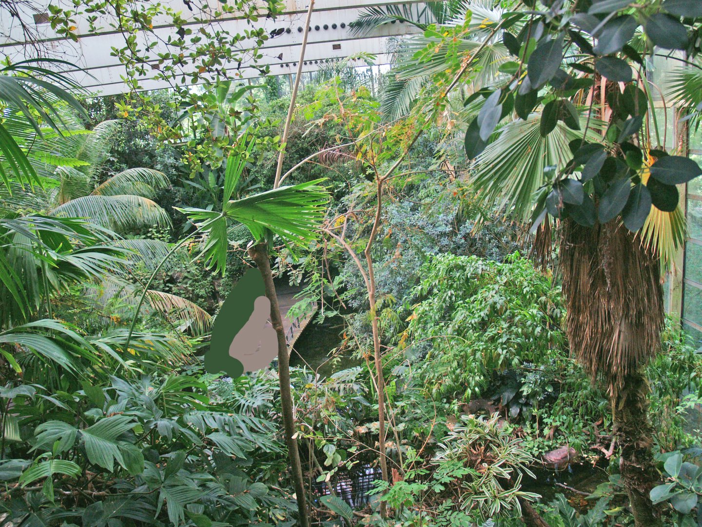 View in the Americasa, 2009-04-19