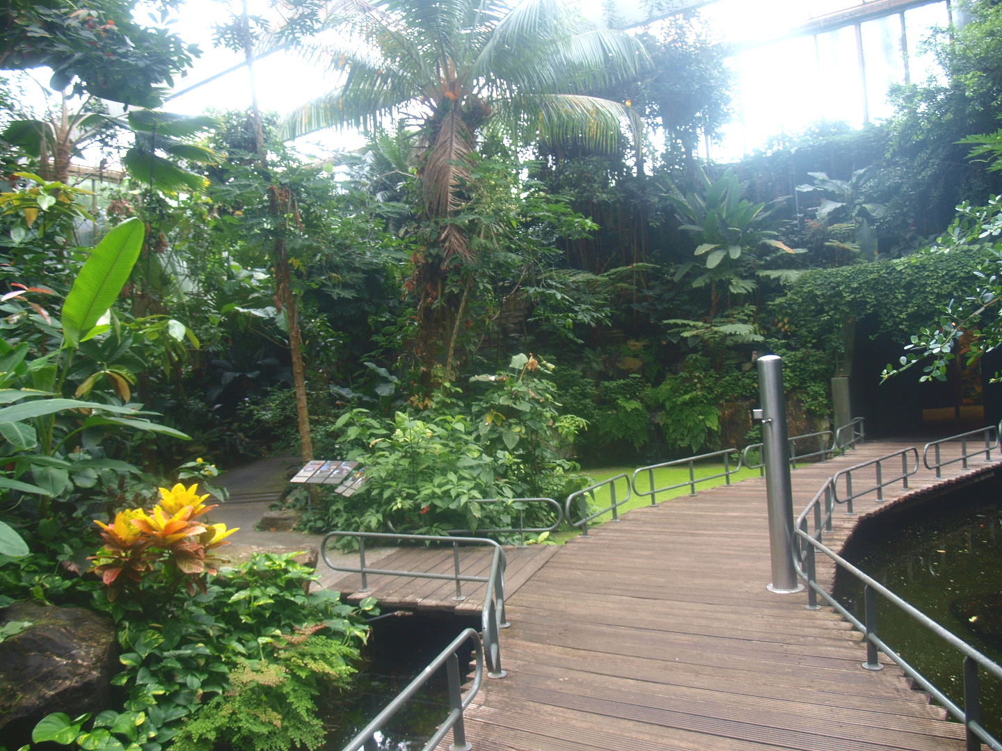 View in the Americasa, 2015-07-19