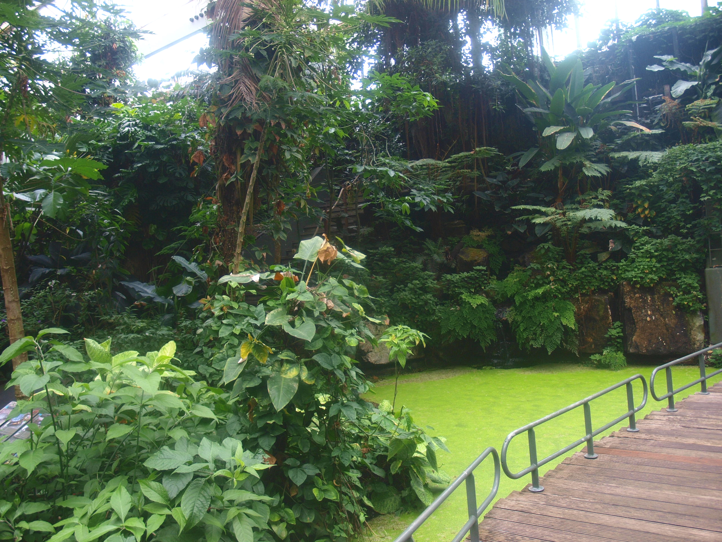 View in the Americasa, 2015-07-19