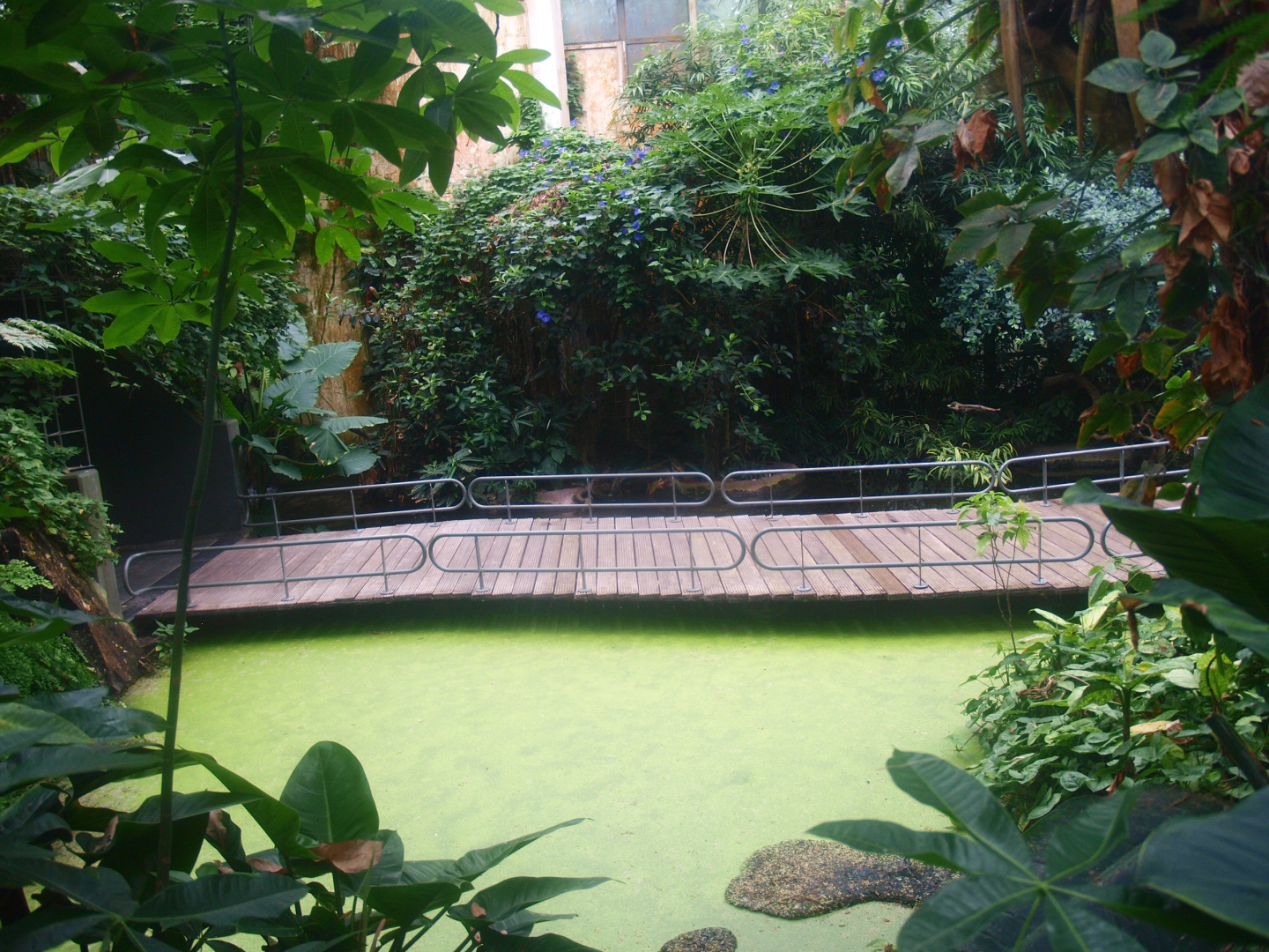 View in the Americasa, 2015-07-19