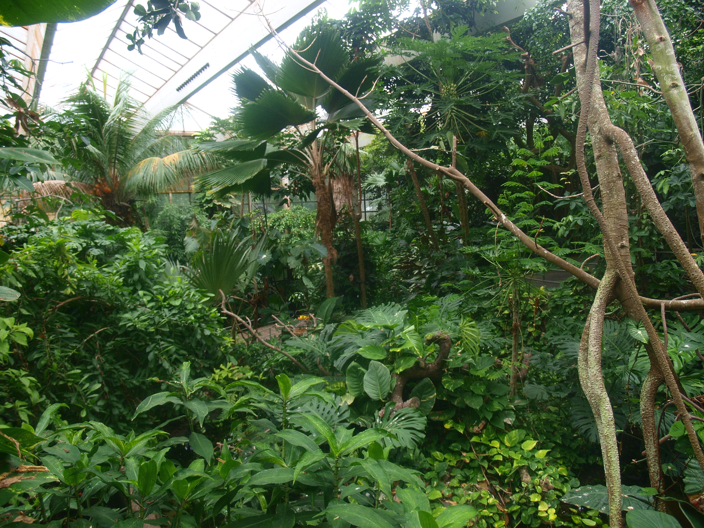 View in the Americasa, 2015-07-19