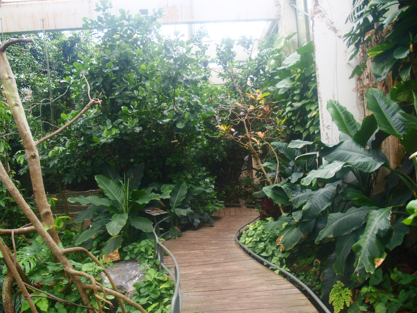 View in the Americasa, 2015-07-19