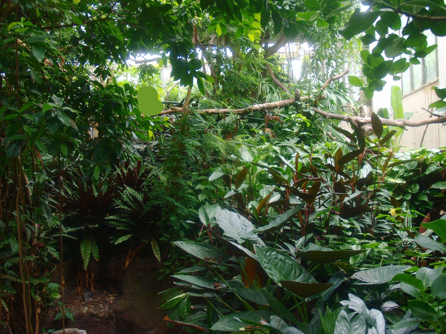 View in the Americasa, 2015-07-19