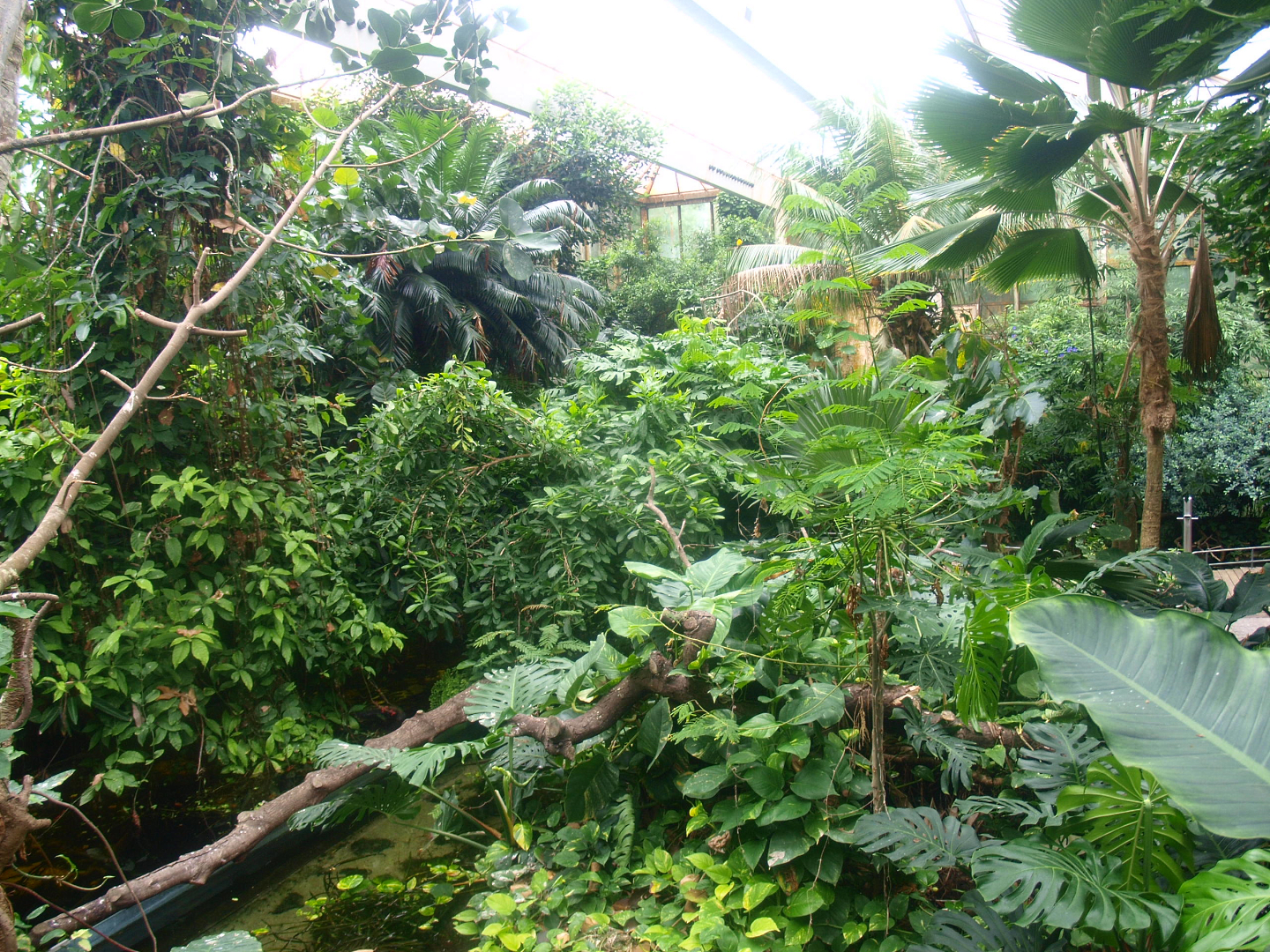 View in the Americasa, 2015-07-19