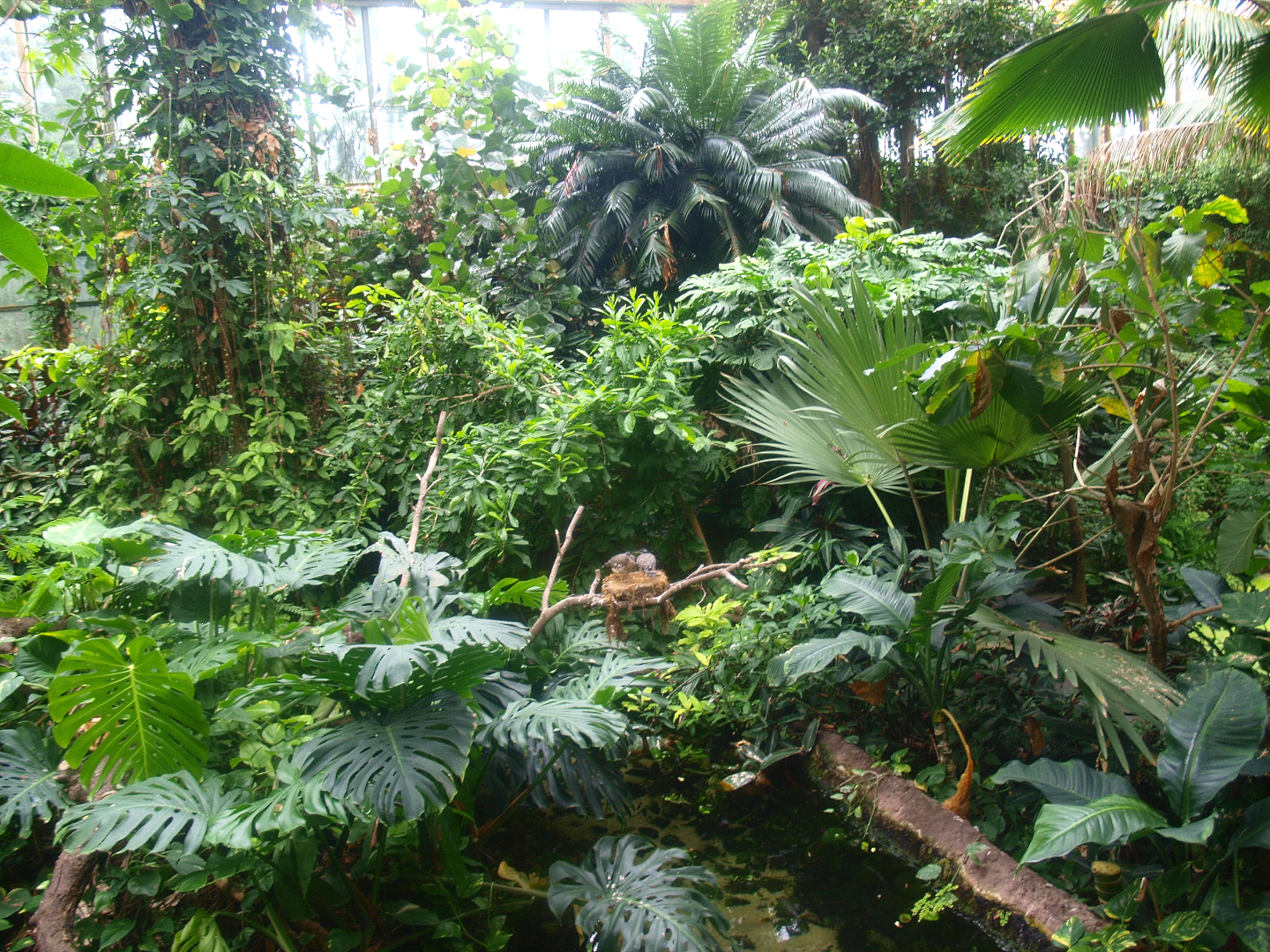 View in the Americasa, 2015-07-19