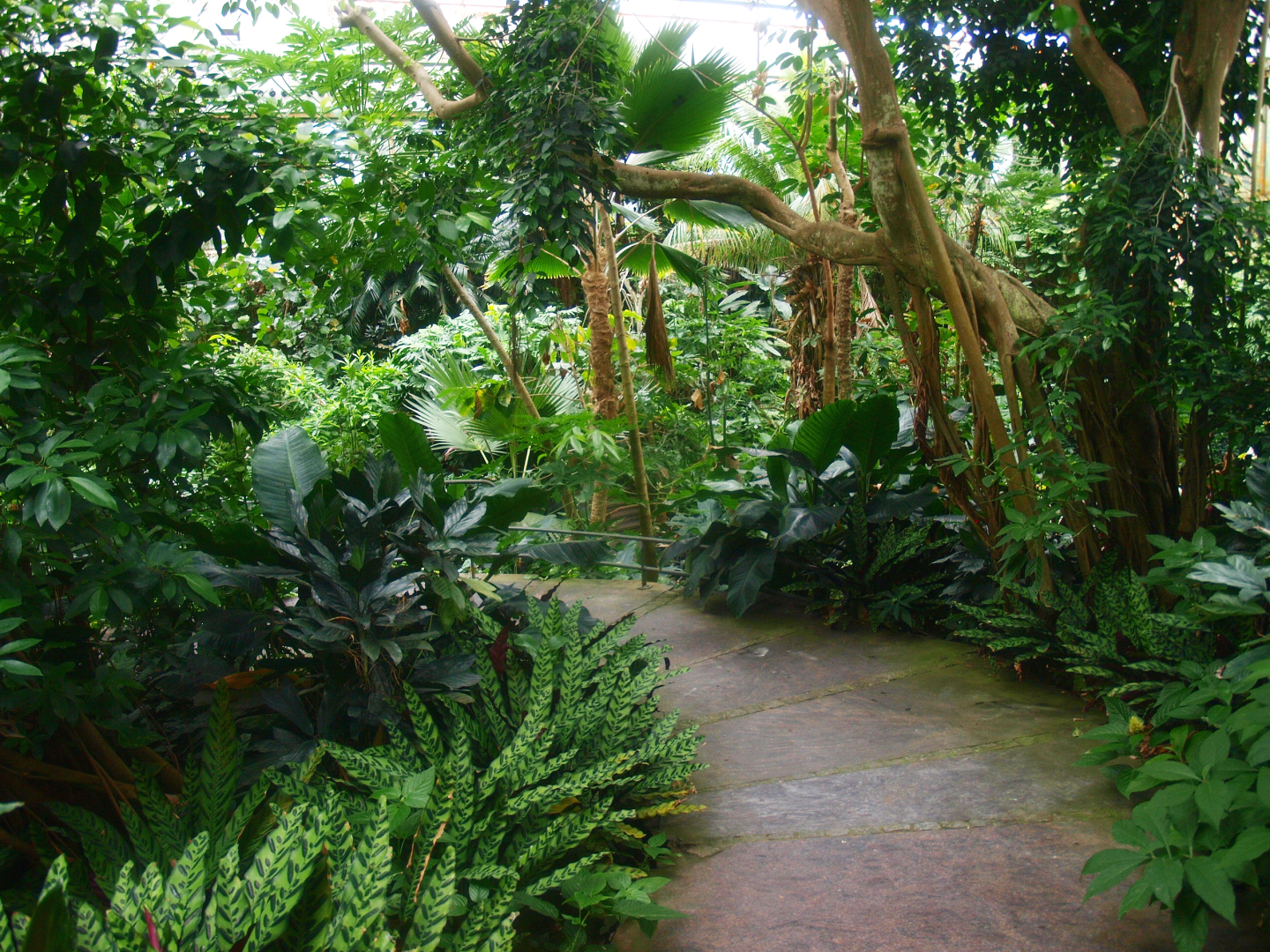 View in the Americasa, 2015-07-19