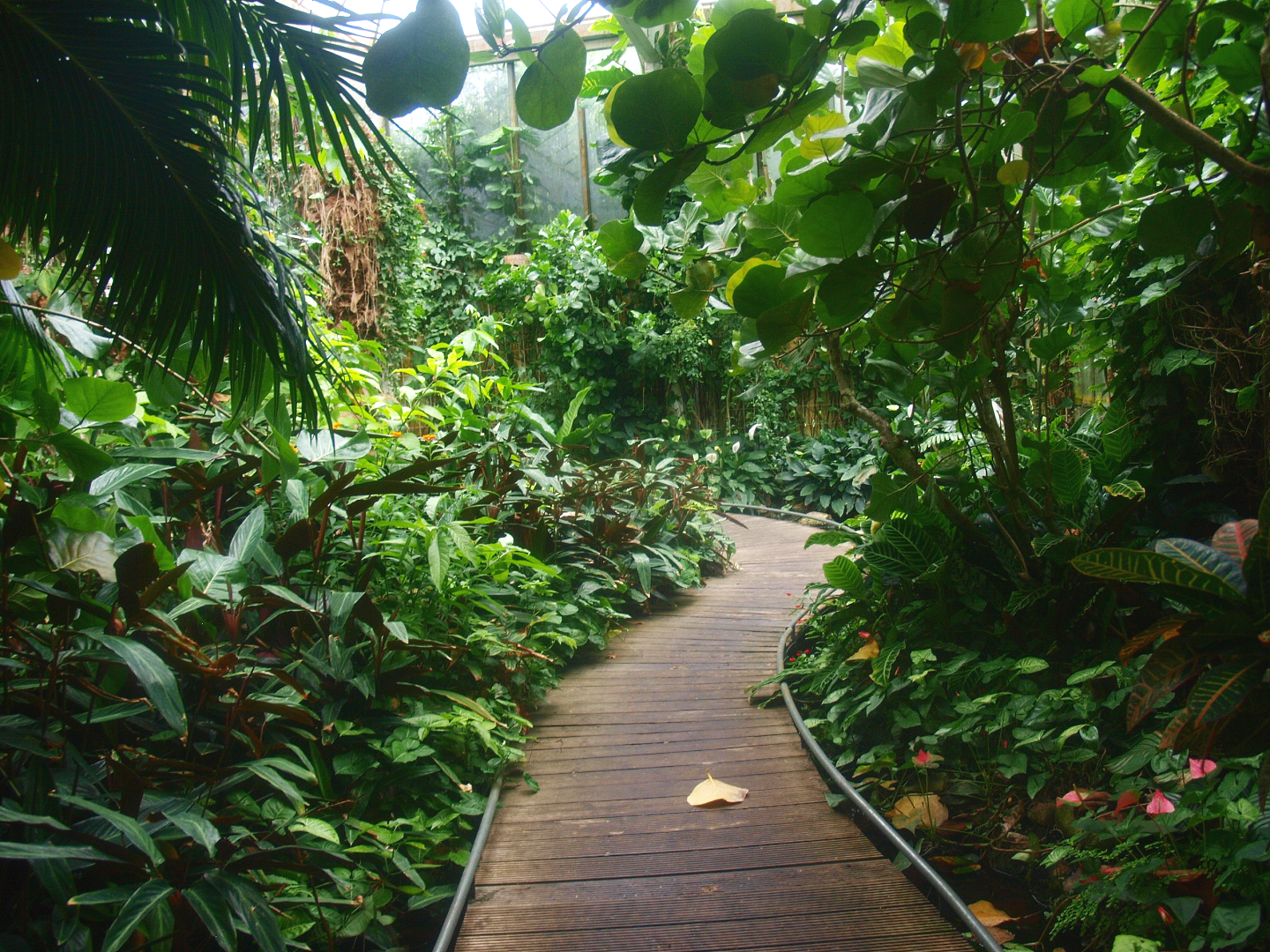 View in the Americasa - Walkway, 2015-07-19