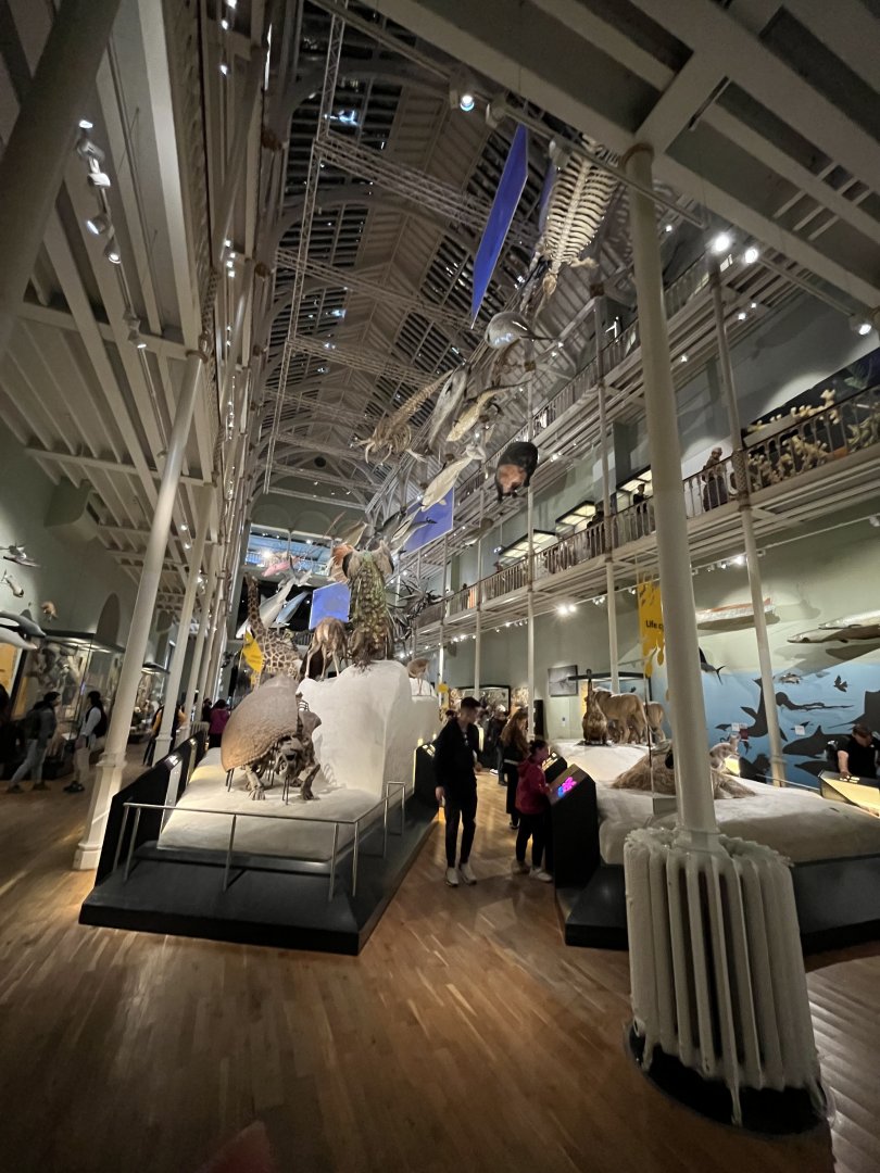 View in the animal hall 29.7.23