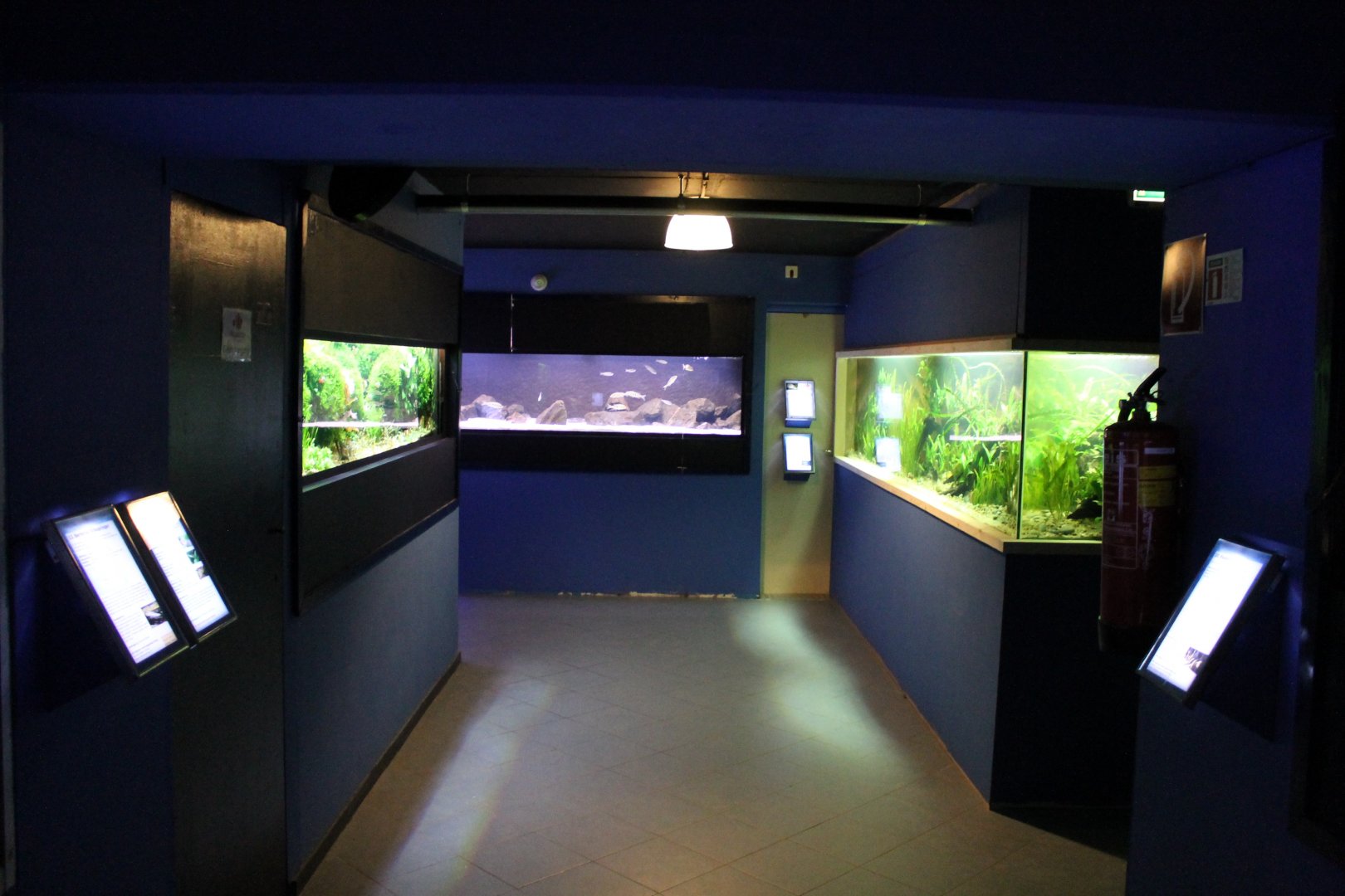 View in the Aqua-zoo