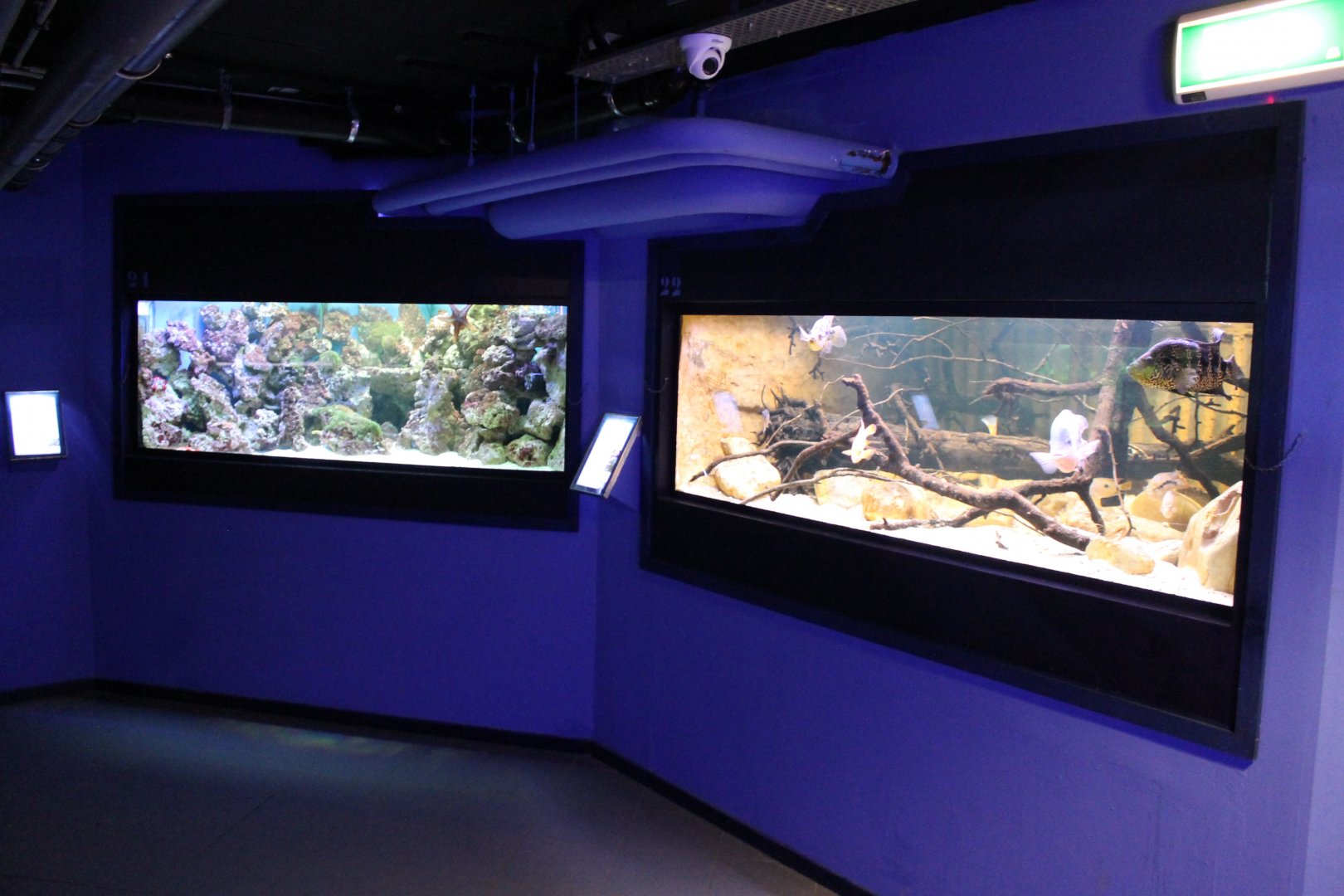 View in the Aqua-zoo