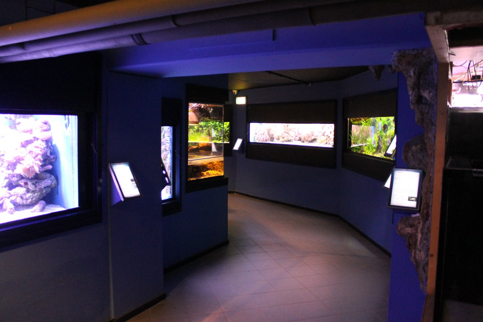 View in the Aqua-zoo