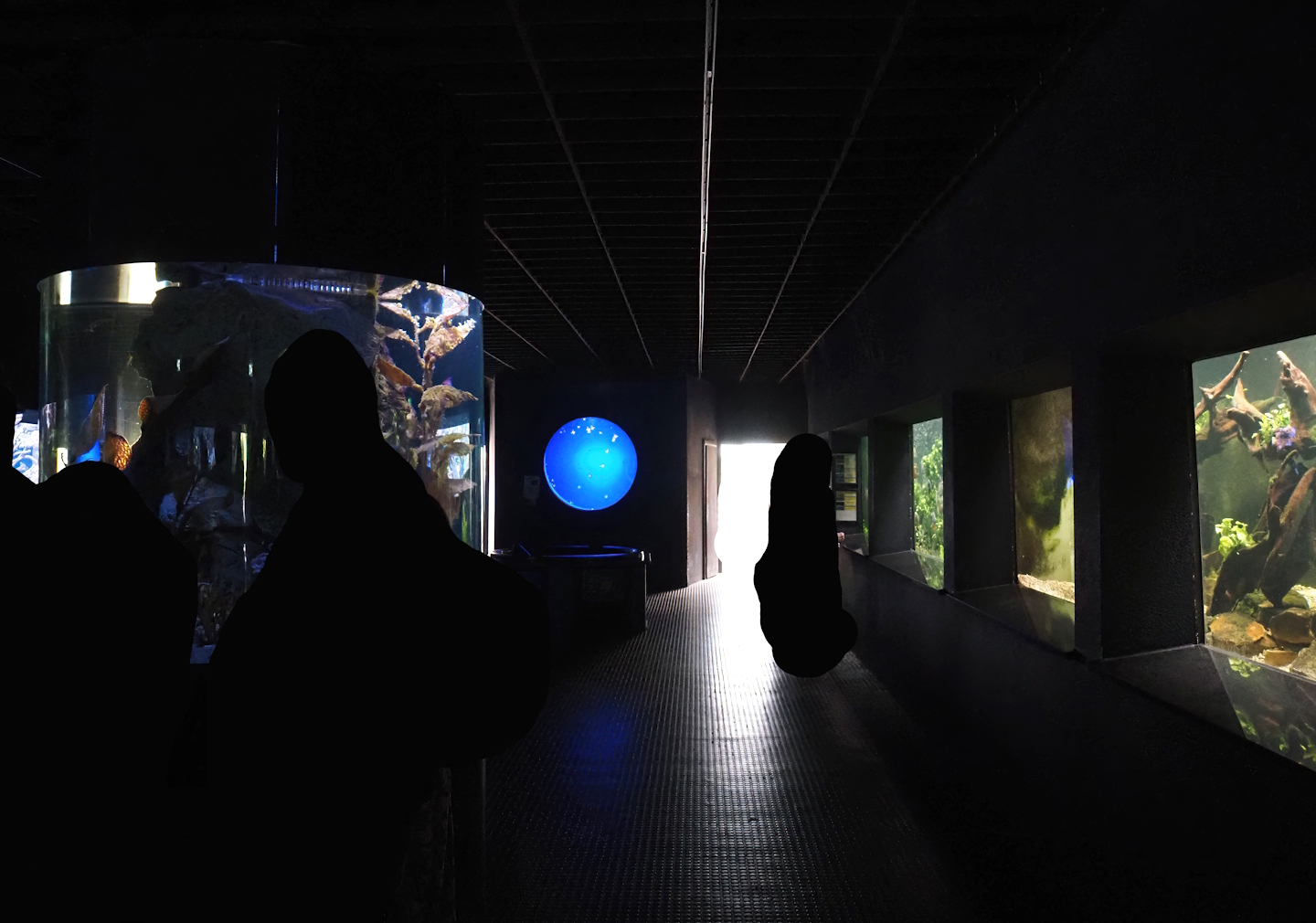 View in the aquarium building, 2024-06-08