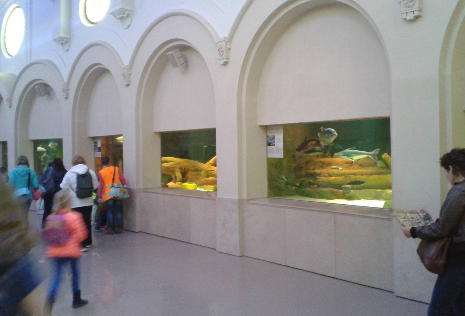 View in the aquarium hal