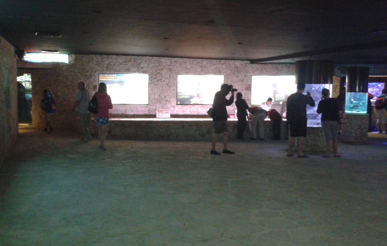 View in the Aquarium