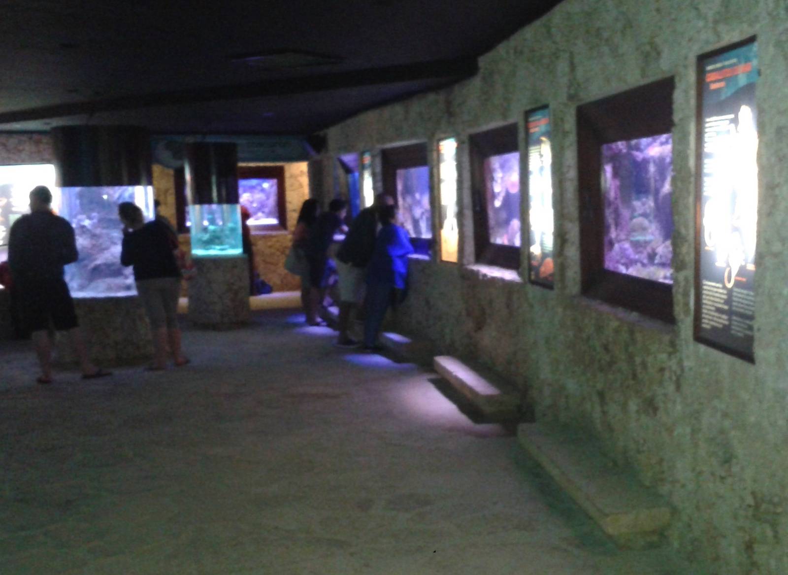 View in the Aquarium