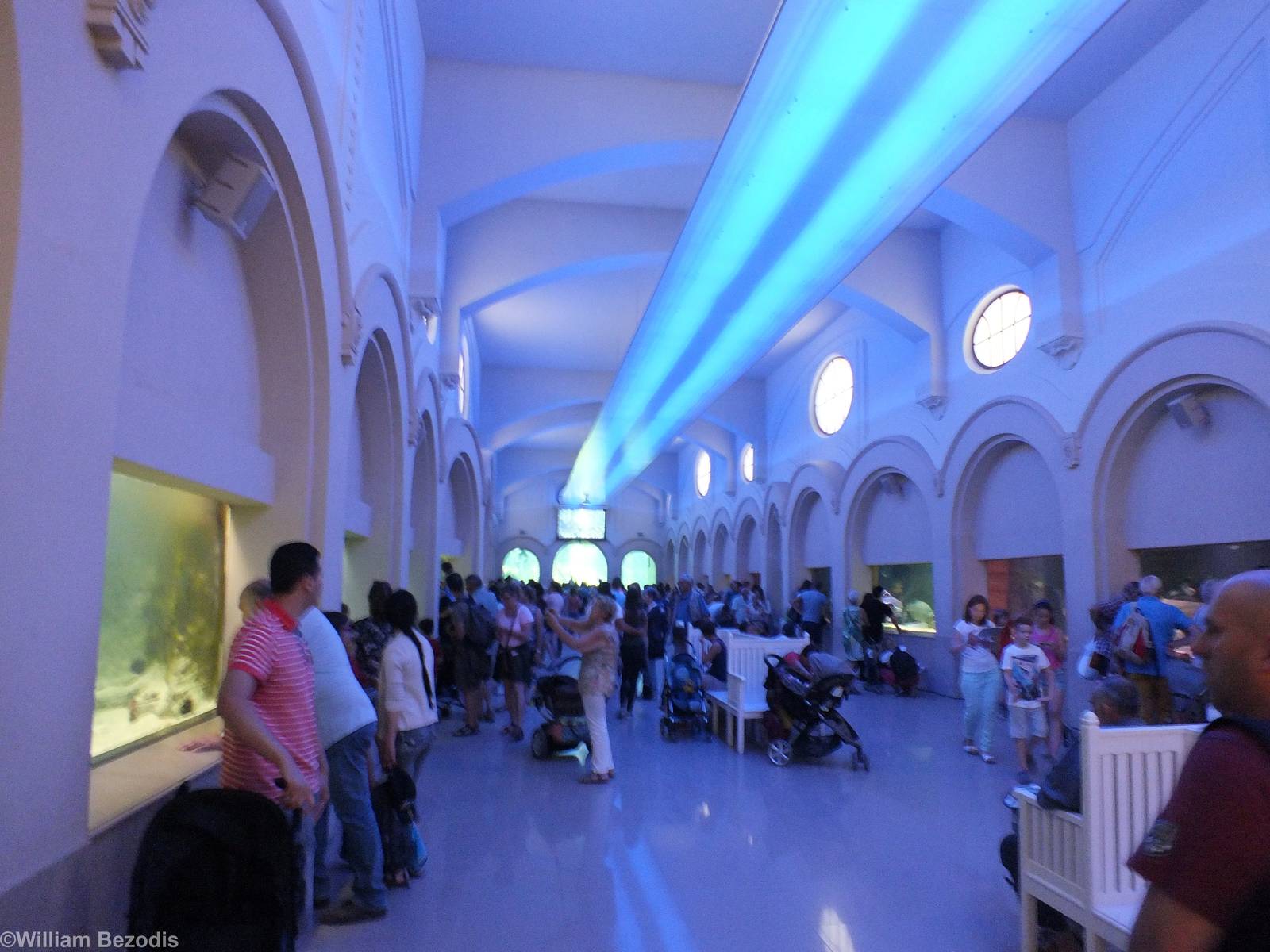 View in the Aquarium