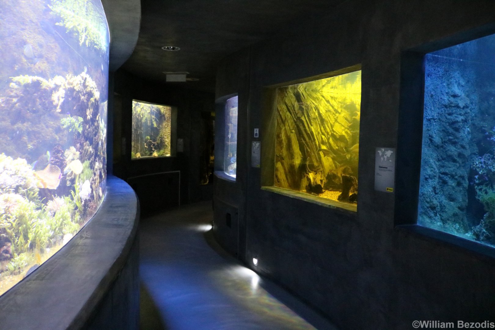 View in the Aquarium