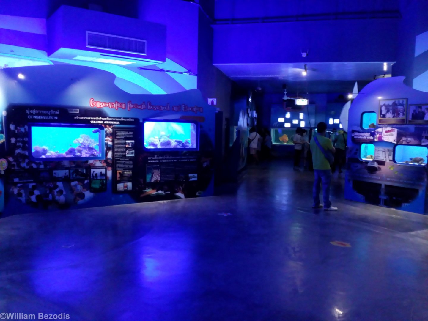 View in the Aquarium