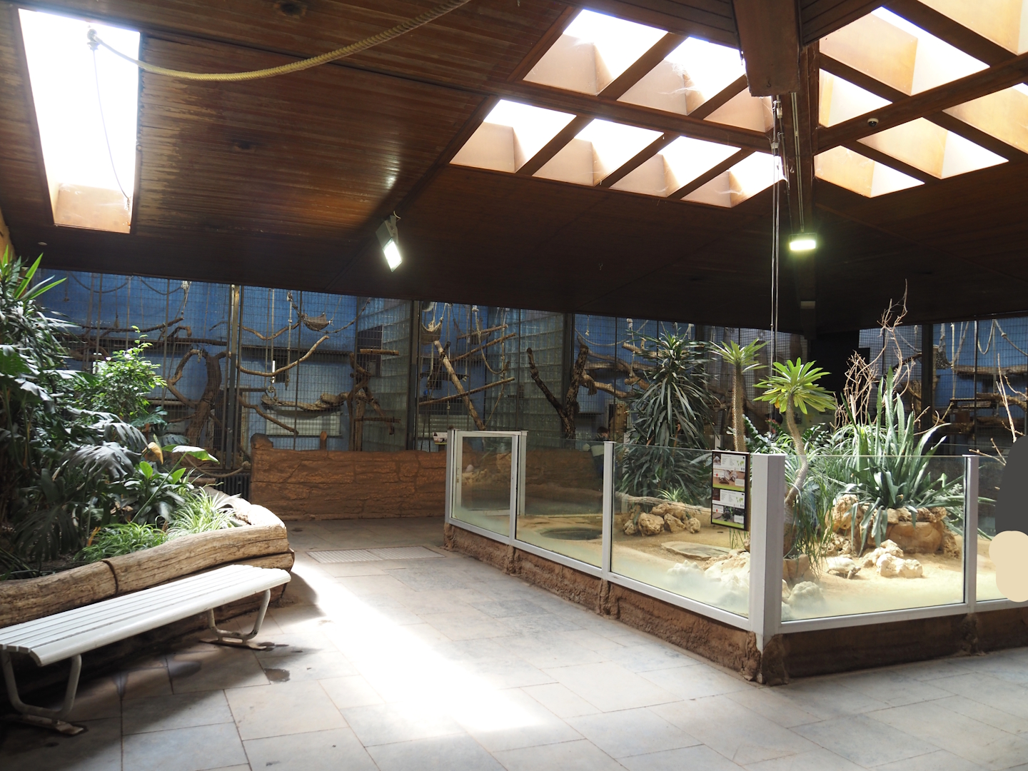 View in the Äquatorium with gibbon, King colobus and lemur indoor exhibits and tortoise exhibit, 2024-06-08